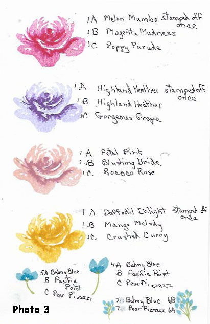 Photo share color combinations I have chosen for the three-step stamped flowers