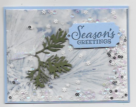 Photo shows an easy and quick shaker card using Feels Like Frost Specialty Designer Series Paper