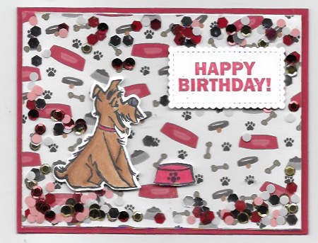 Darling shaker card for Zeke using Pampered Pets Bundle