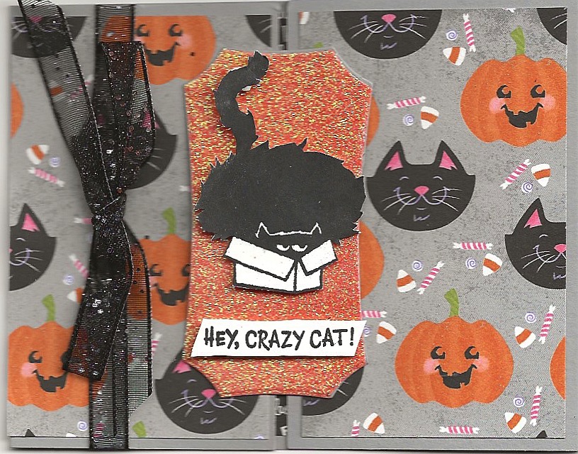 handmade Clever Cats Slide & Lock Halloween card created with the Clever Cats stamp set