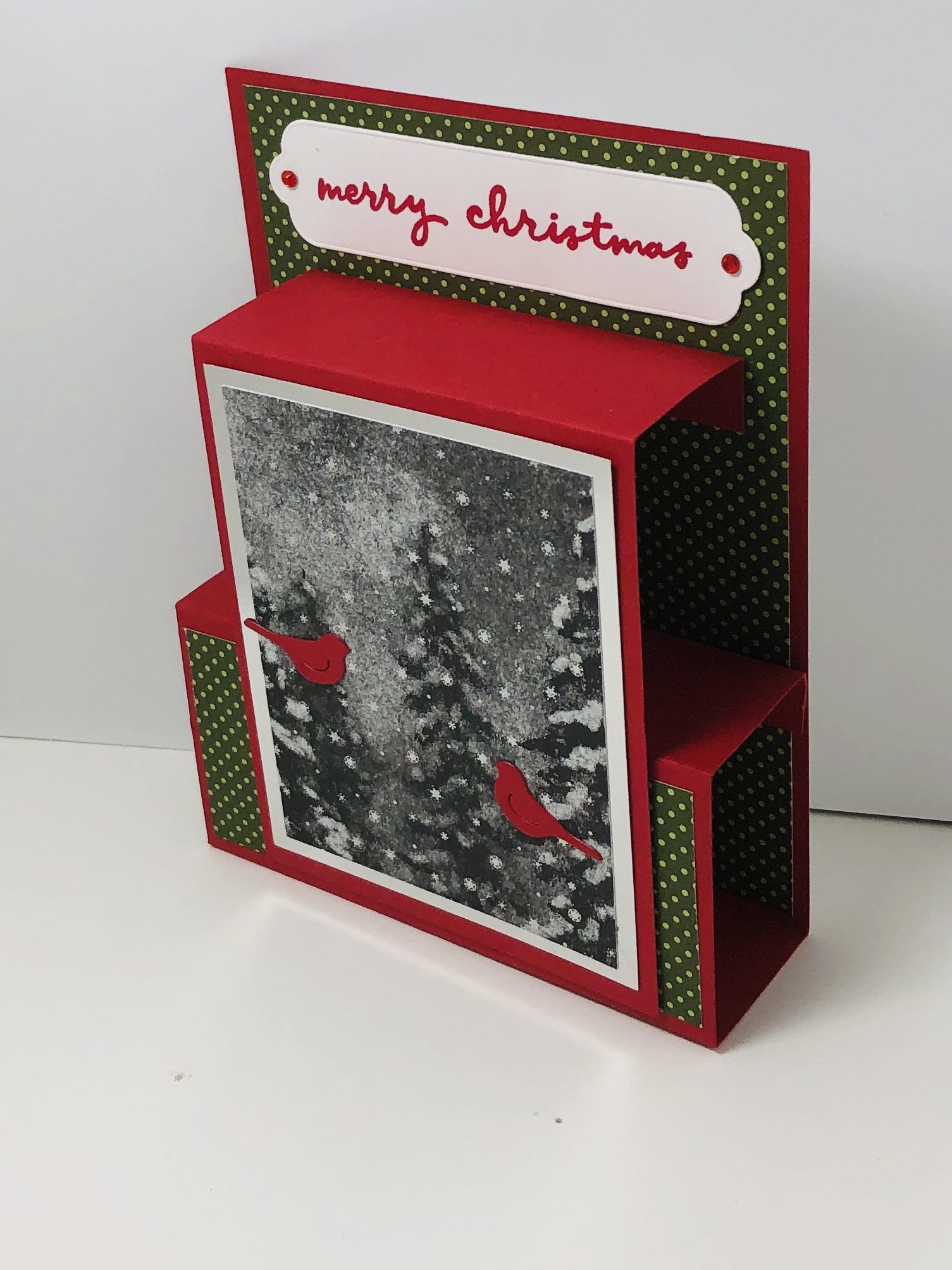 Handmade Christmas Card using the Double Box fancy fold and Peaceful Place Designer Series Paper