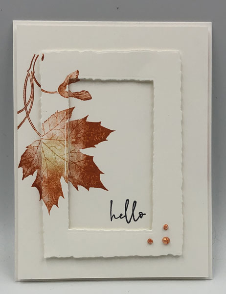 an Elegant Soft Seedlings Framed Card using the Soft Seedlings Stamp Set