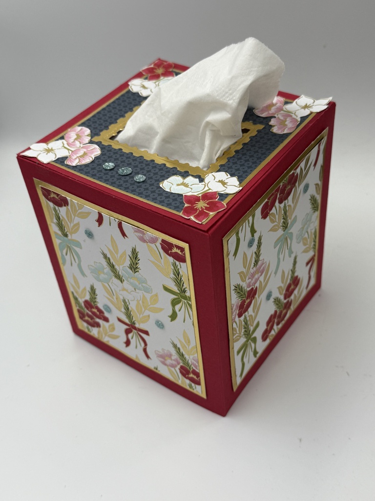 photo is of a Beautiful Christmas Tissue Box Cover